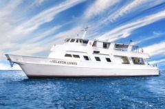 Atlantis Azores Tauchsafari