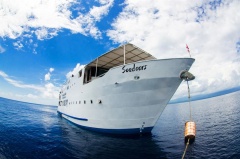 Seadoors Philippines Liveaboard